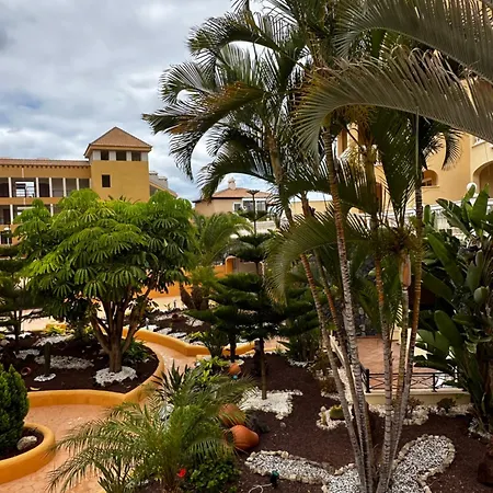 Apartment Apt. Holid Los Cristianos (Tenerife)